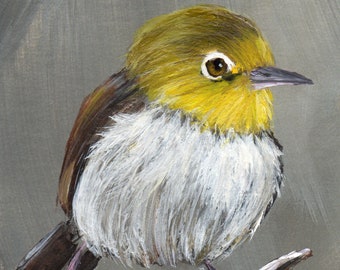Silvereye ACEO / Bird Art / Original Australian Bird Acrylic ACEO bird painting / Wildlife Art / Realistic Bird / Australian Wildlife