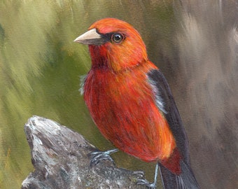 Bird Art / Wildlife Painting / Scarlet Tanager / Original 5 x 5 inch bird acrylic painting / Realistic SFA
