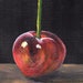 see more listings in the Original Still Lifes section