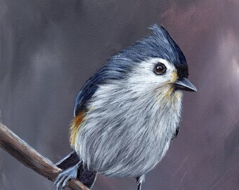 Bird Painting -  Art -  Tufted Titmouse - SFA - Wildlife Painting -  Original hand painted bird acrylic painting  - Realistic Bird