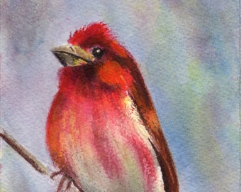 Purple Finch /  Bird/ Art / SFA / Original hand painted bird  watercolour painting