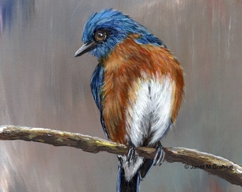 Bird Painting - Art - Eastern Bluebird - SFA - Wildlife  -  Original hand painted  acrylic   - Realistic