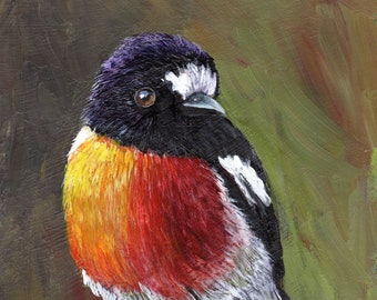 Bird Painting -  Art -  Scarlet Robin - SFA- Wildlife Painting - Original hand painted Australian bird acrylic painting - Realistic Bird