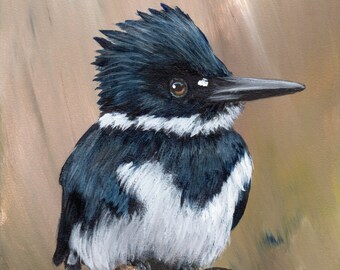 Bird Painting -  Art - Belted Kingfisher - SFA - Wildlife Painting -  Original hand painted bird acrylic painting  - Realistic Bird