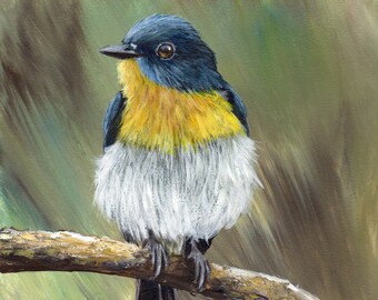 Bird Art / Wildlife Painting / Tickell's Blue Flycatcher  / Original 5 x 5 inch bird acrylic painting / Realistic SFA