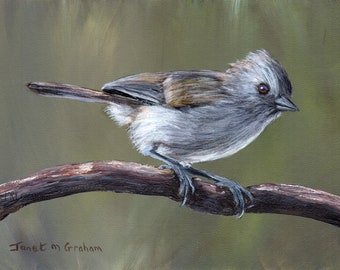 Bird Painting -  Art - Oak Titmouse - SFA - Wildlife Painting -  Original hand painted bird acrylic painting  - Realistic Bird