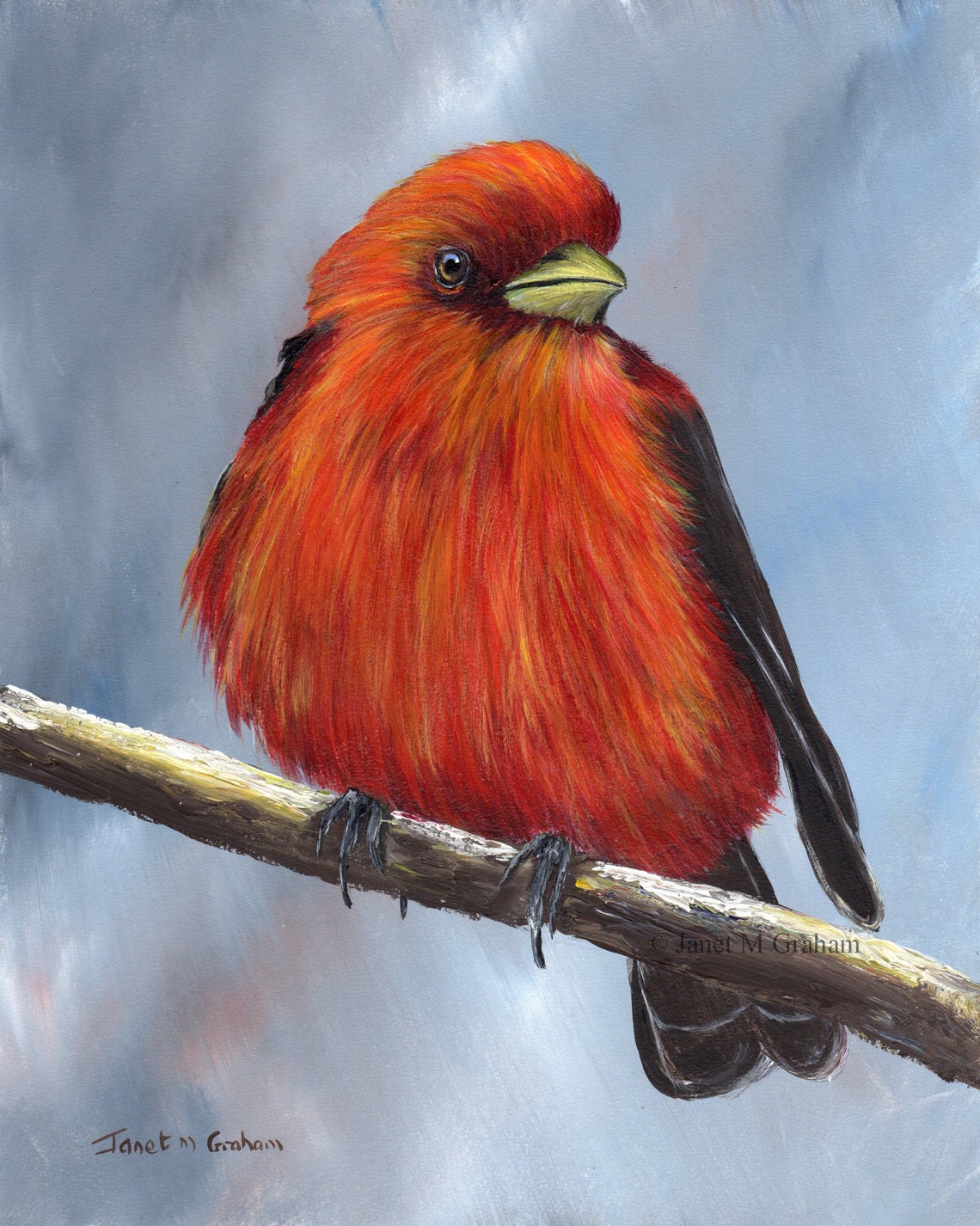 Bird Art / Painting / Wildlife / Scarlet Tanager / SFA /original ...