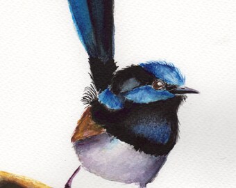 Superb Fairy Wren / Bird/ Art / SFA / Original hand painted bird  watercolour painting / Australian Bird / Australian Wildlife