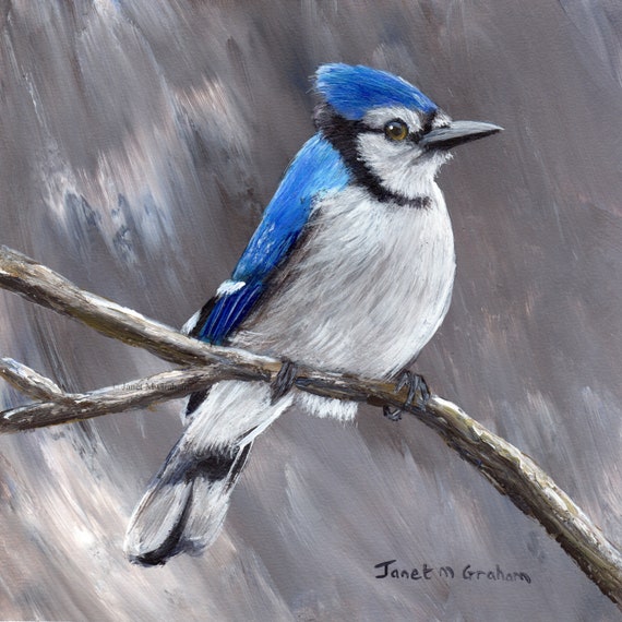 Close Search Search For Items Or Shops Leave The Search Menu Skip To Content Menu Basket With 0 Items 0 Basket Take Full Advantage Of Our Site Features By Enabling Javascript Learn More Add To Favourites Zoom Image 1 Of 1 Bird Painting Art Blue Jay Close Search Search For Items Or Shops Leave The Search Menu Skip To Content Menu Basket With 0 Items 0 Basket Take Full Advantage Of Our Site Features By Enabling Javascript Learn More Add To Favourites Zoom Image 1 Of 1 Bird Painting Art Blue Jay