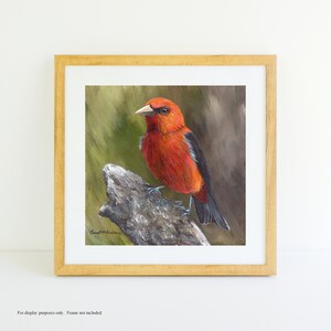 Bird Art / Wildlife Painting / Scarlet Tanager / Original 5 X 5 Inch ...