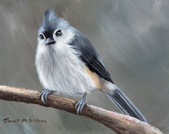 Bird Painting -  Art - Tufted Titmouse - SFA - Wildlife Painting -  Original hand painted bird acrylic painting  - Realistic Bird