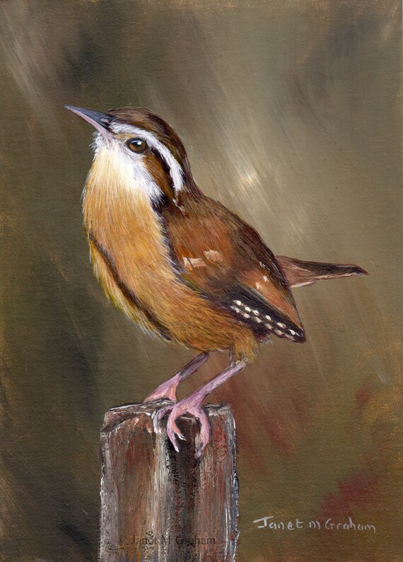 Original Bird Painting Art Wren SFA Wildlife 5 X 7 - Etsy Original Bird Painting Art Wren SFA Wildlife 5 X 7 - Etsy