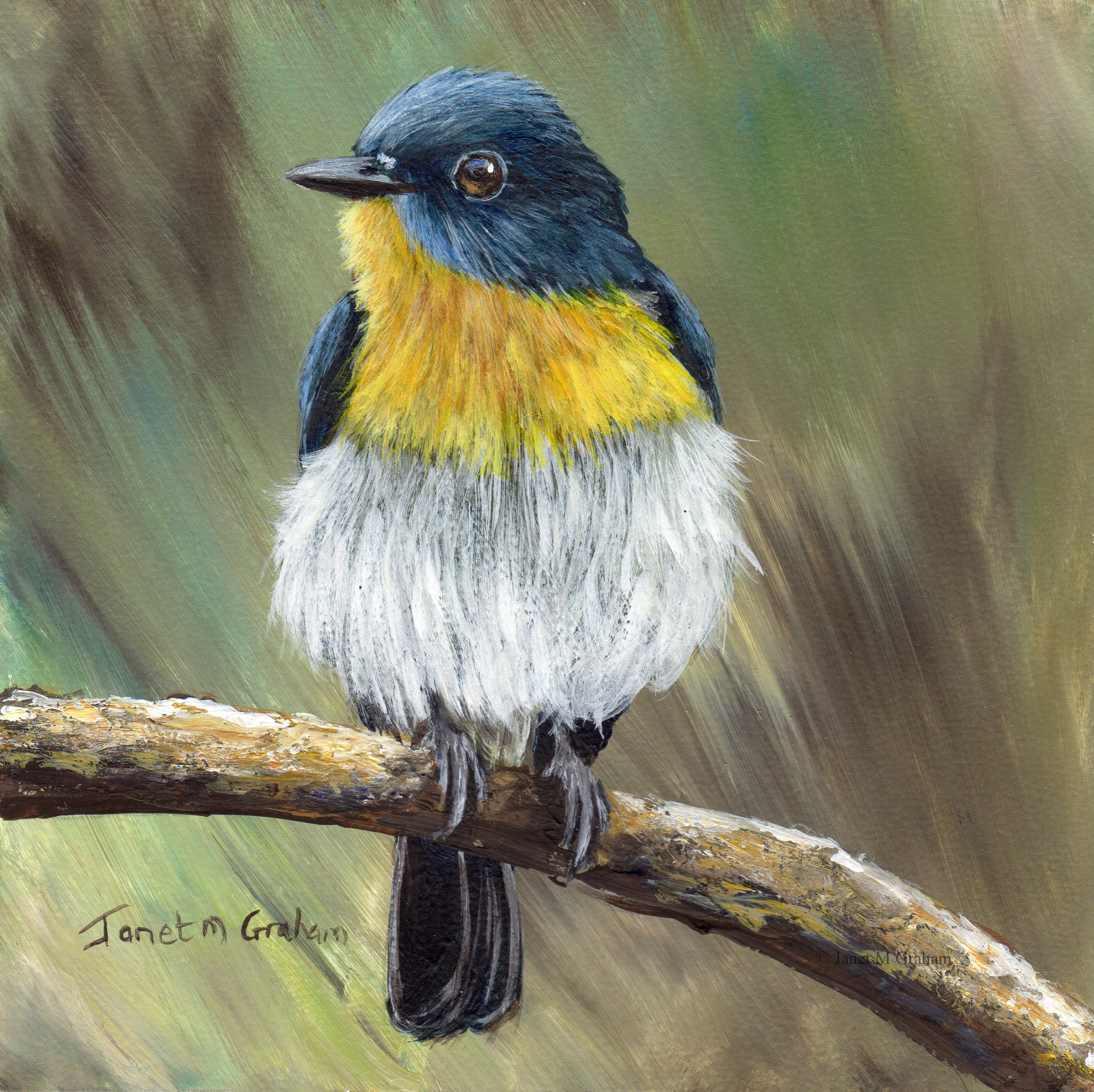 Bird Art / Wildlife Painting / Tickell's Blue Flycatcher / - Etsy Bird Art / Wildlife Painting / Tickell's Blue Flycatcher / - Etsy