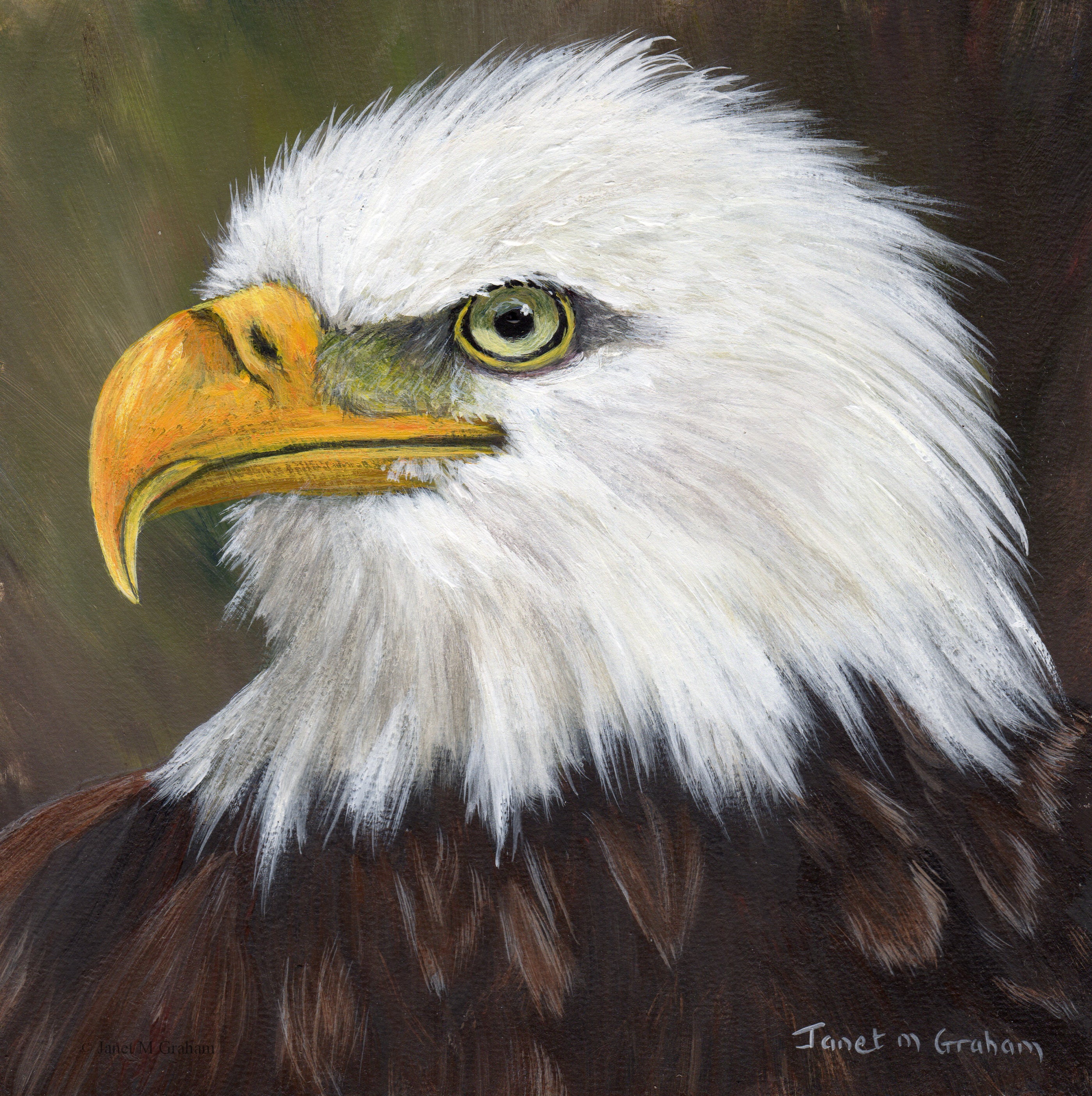 Bird Painting Art Bald Eagle Portrait SFA Wildlife Painting Original