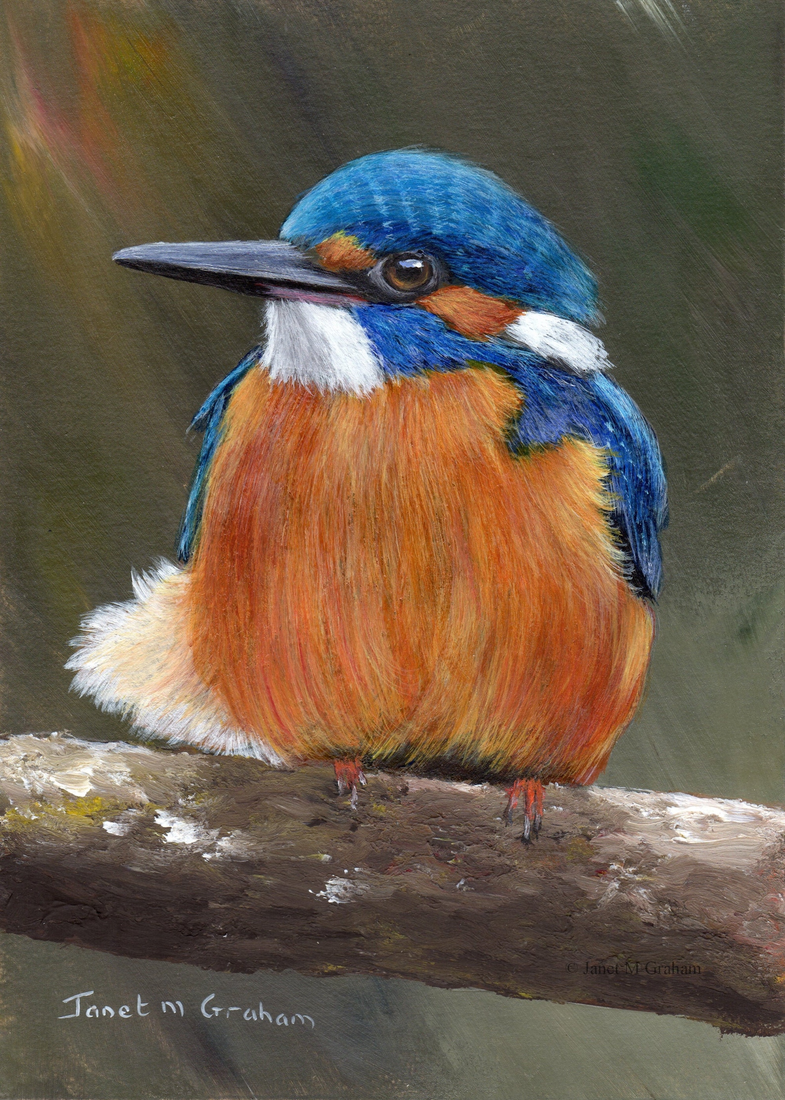 Original Bird Painting Art Kingfisher SFA Wildlife 5 X 7 Inches Acrylic