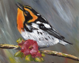 Bird Painting -  Art -  Blackburnian Warbler - SFA - Wildlife Painting -  Original hand painted bird acrylic painting  - Realistic Bird