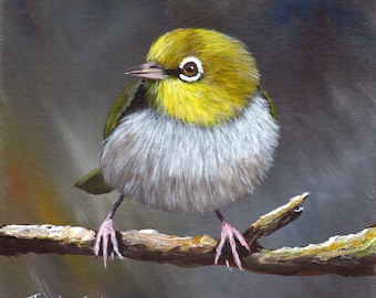 Bird Painting -  Art -  Silvereye- SFA- Wildlife Painting - Original hand painted Australian bird acrylic painting - Realistic Bird