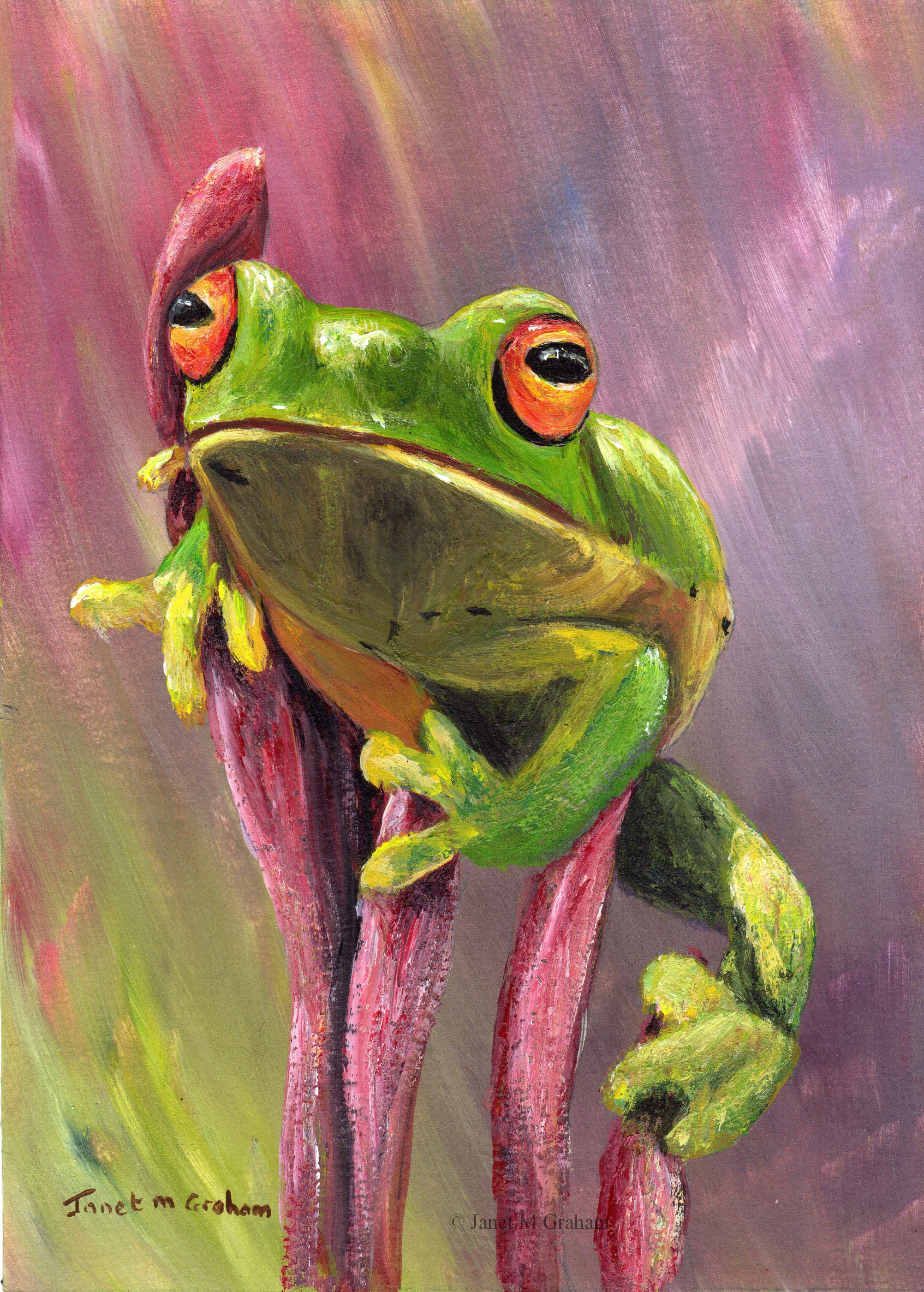 Australian Wildlife Painting - Art - Tree Frog - SFA - Wildlife - 5 x 7  inches original acrylic painting - Realistic painting