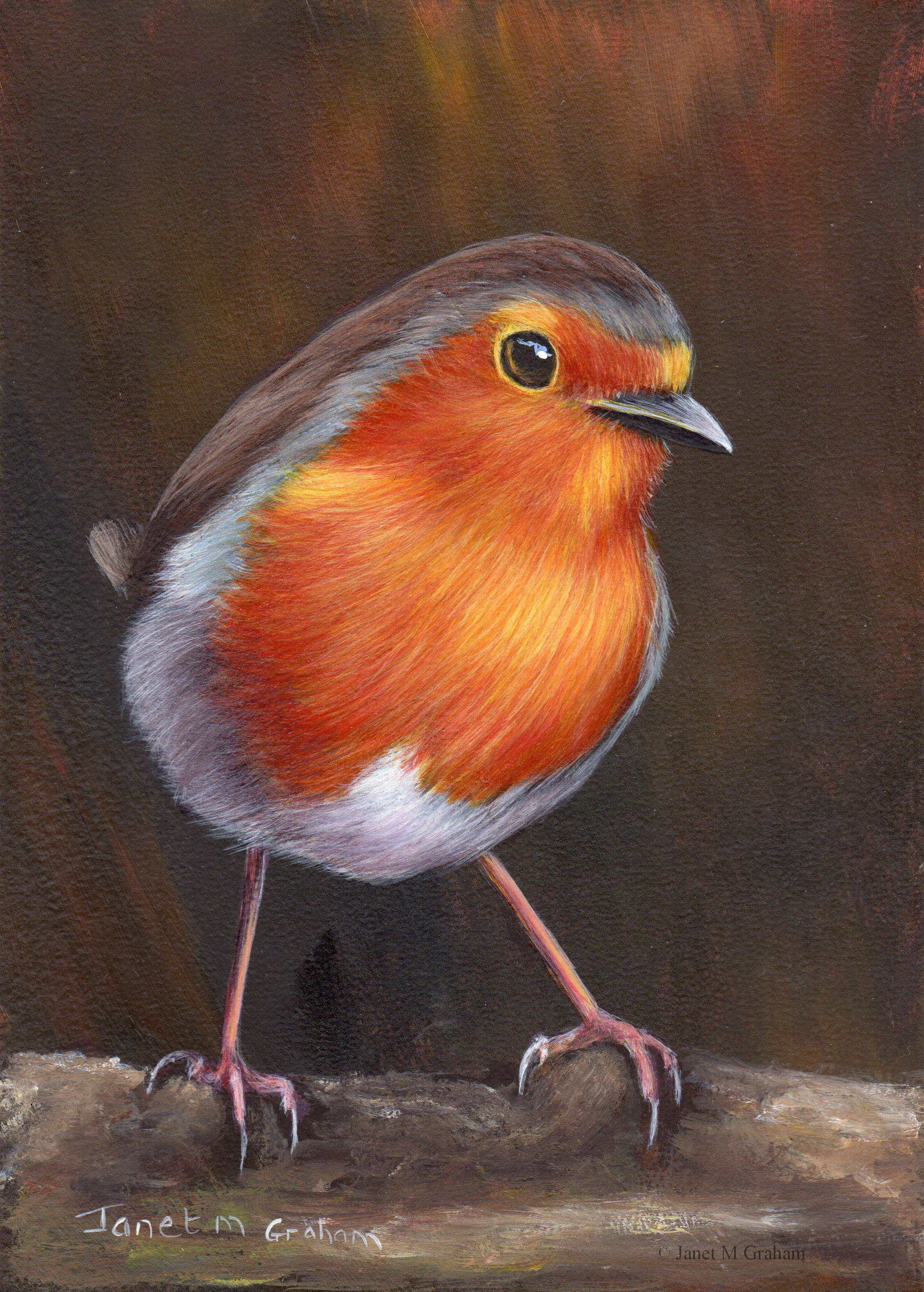 Robin Painting