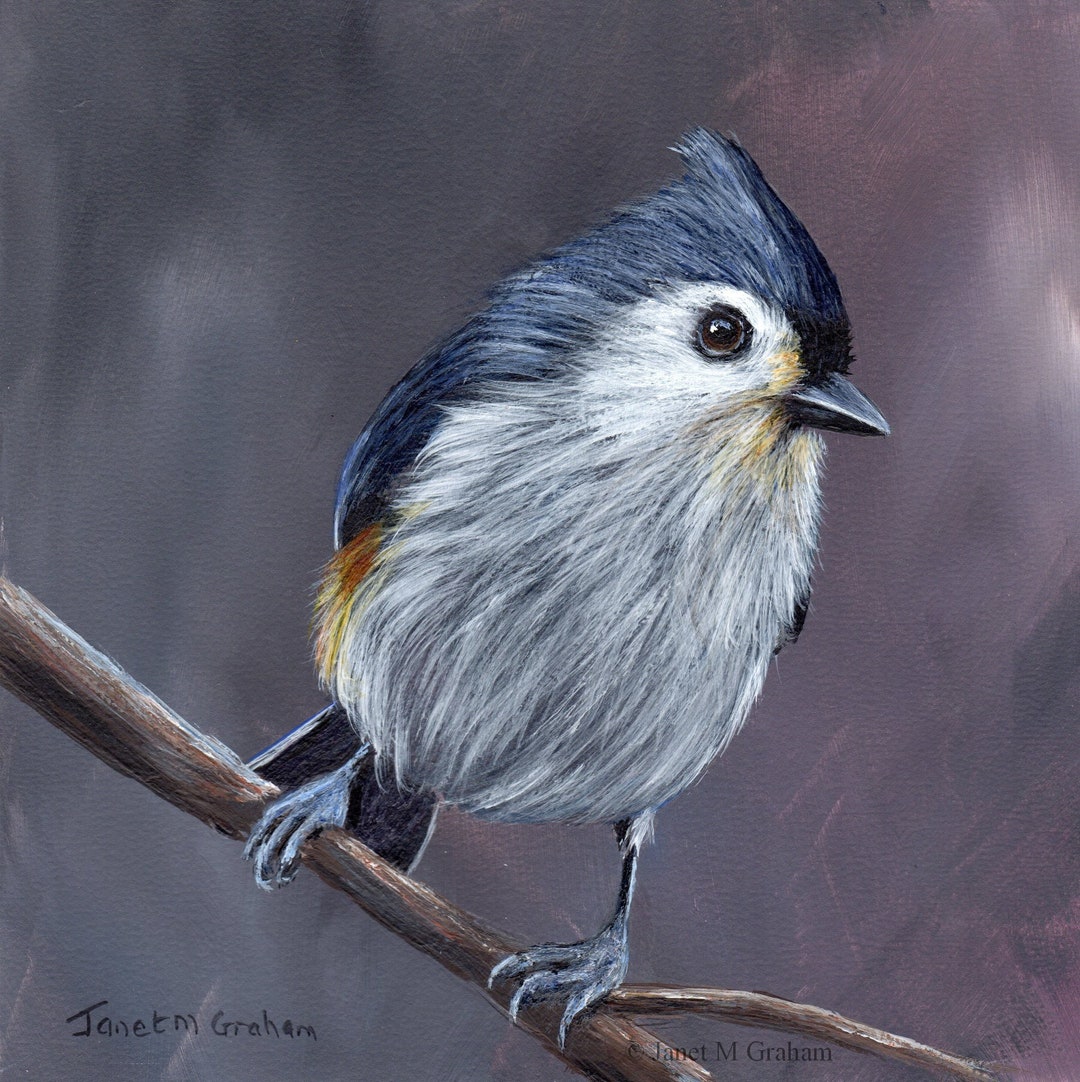 Bird Painting Art Tufted Titmouse SFA Wildlife Painting Original Hand