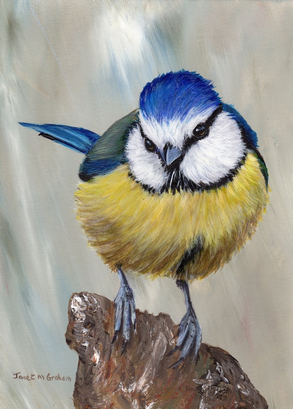 30+ Easy Paintings Of Birds