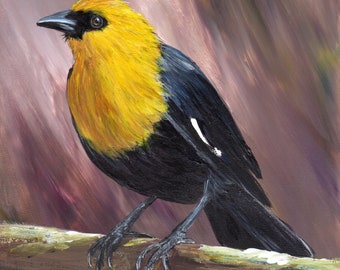 Bird Painting -  Art -  Yellow Headed Blackbird - SFA - Wildlife Painting -  Original hand painted bird acrylic painting  - Realistic Bird