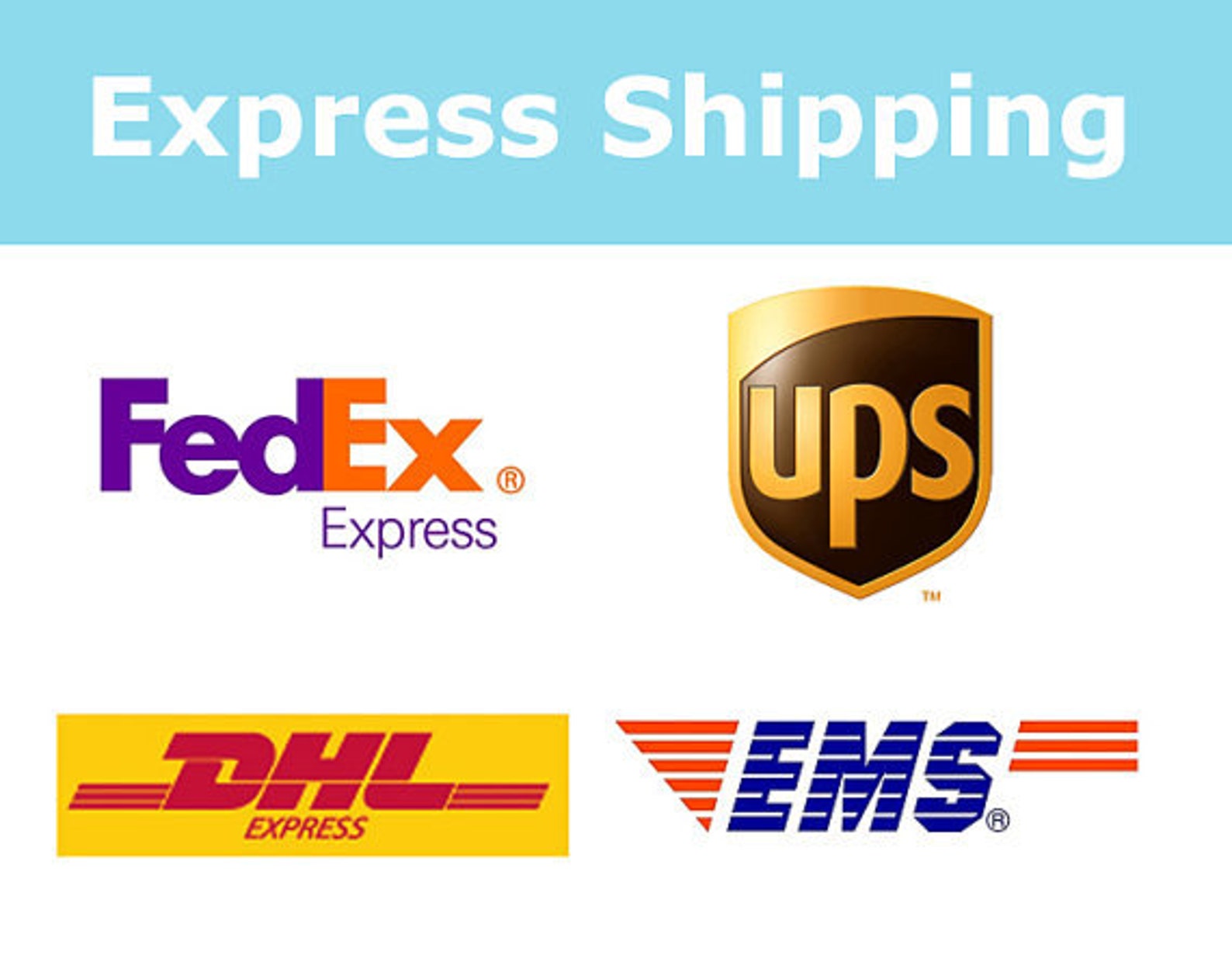 Express Shipping for Small Package DHL UPS Fedex EMS Etsy