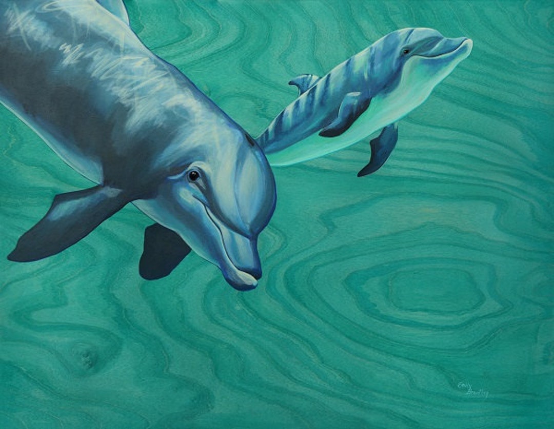 Dolphin Greeting Card - Etsy