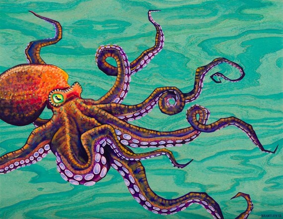 Featured image of post View 26 Tentacles On Octopus