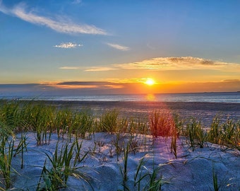 Dune Grass Sunrise I - Kerr Ave - Lavallette NJ