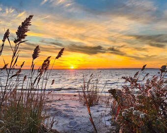 Sunset Through the Dune by Richard Pasquarella