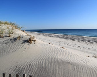 Trenton Ave Beach Dunes, Lavallette NJ, Before Superstorm Sandy, Beach Picture