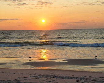 Golden Bird Sunrise II, Lavallette NJ, Beach Home Decor, Beach Picture