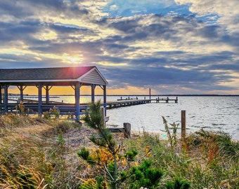 The Seagull by the Gazebo Bay by Richard Pasquarella