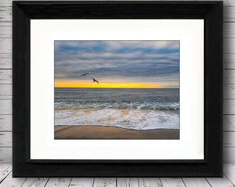 Lavallette Seagull Sunrise II | Seagull BFFs | President Ave | by Richard Pasquarella