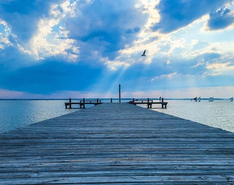 Bird vs. Boat Blue Sunset by Richard Pasquarella