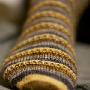 May include: Close-up of a brown and gray striped knitted sock.