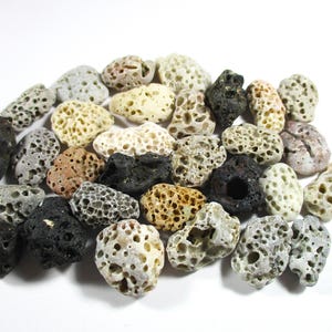 GENUINE BEACH STONES 30 Small Brown White Grey Cream Black Beige Holes ...