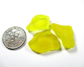 本物のシーグラス 3 希少な明るい黄色の本物のサーフタンブル加工未