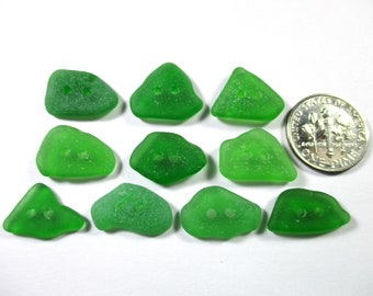 ECHTES SEEGLAS Knöpfe 16mm Kelly Green 10 Flawless Real Surf Tumbled Greek Beach Seaglass Sewing Knitting Zwei-Loch-Shirt Bluse Aber 336
