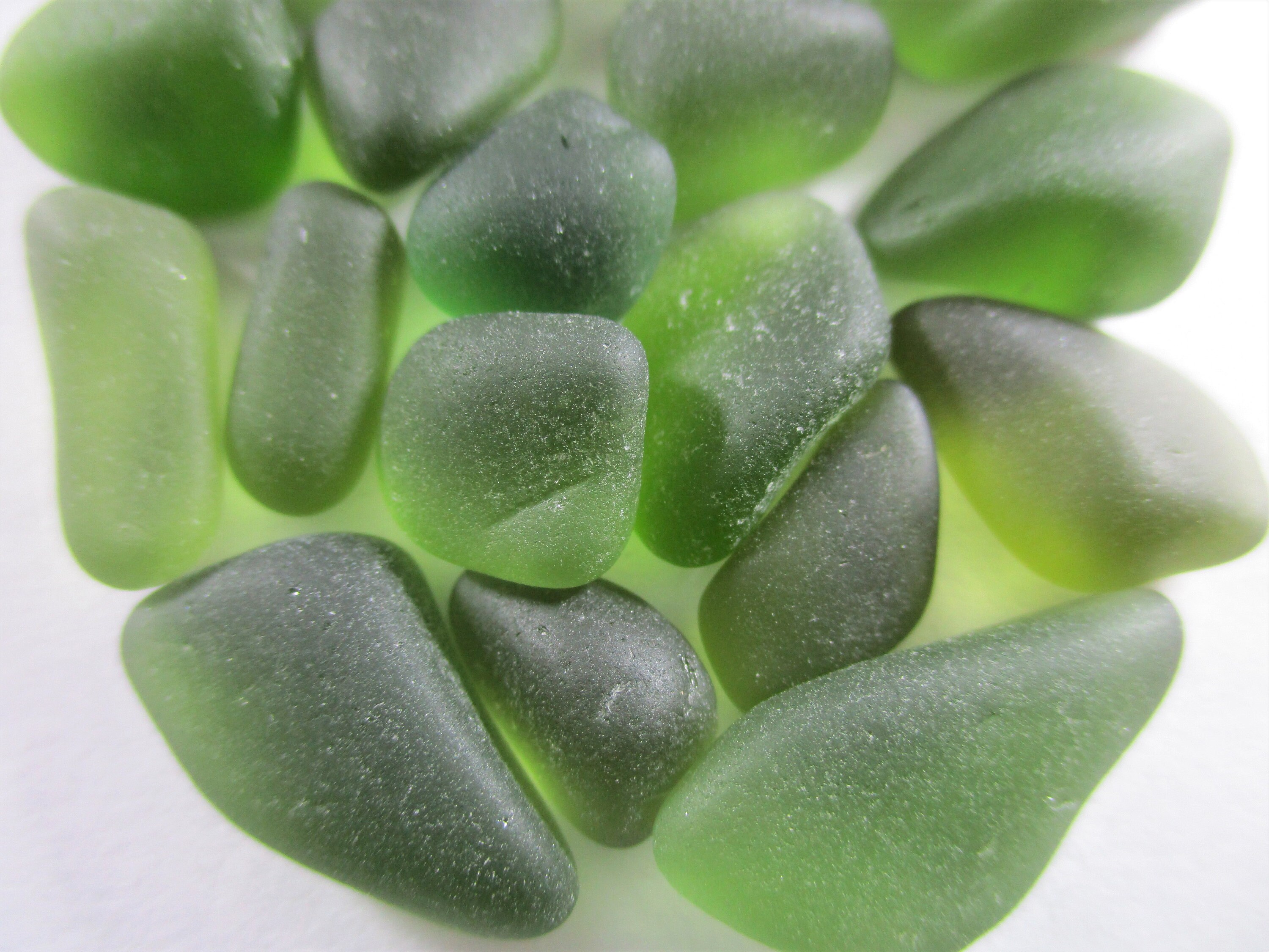 GENUINE SEA GLASS Gems 25 Moss Forest Olive Green Real Surf Etsy UK