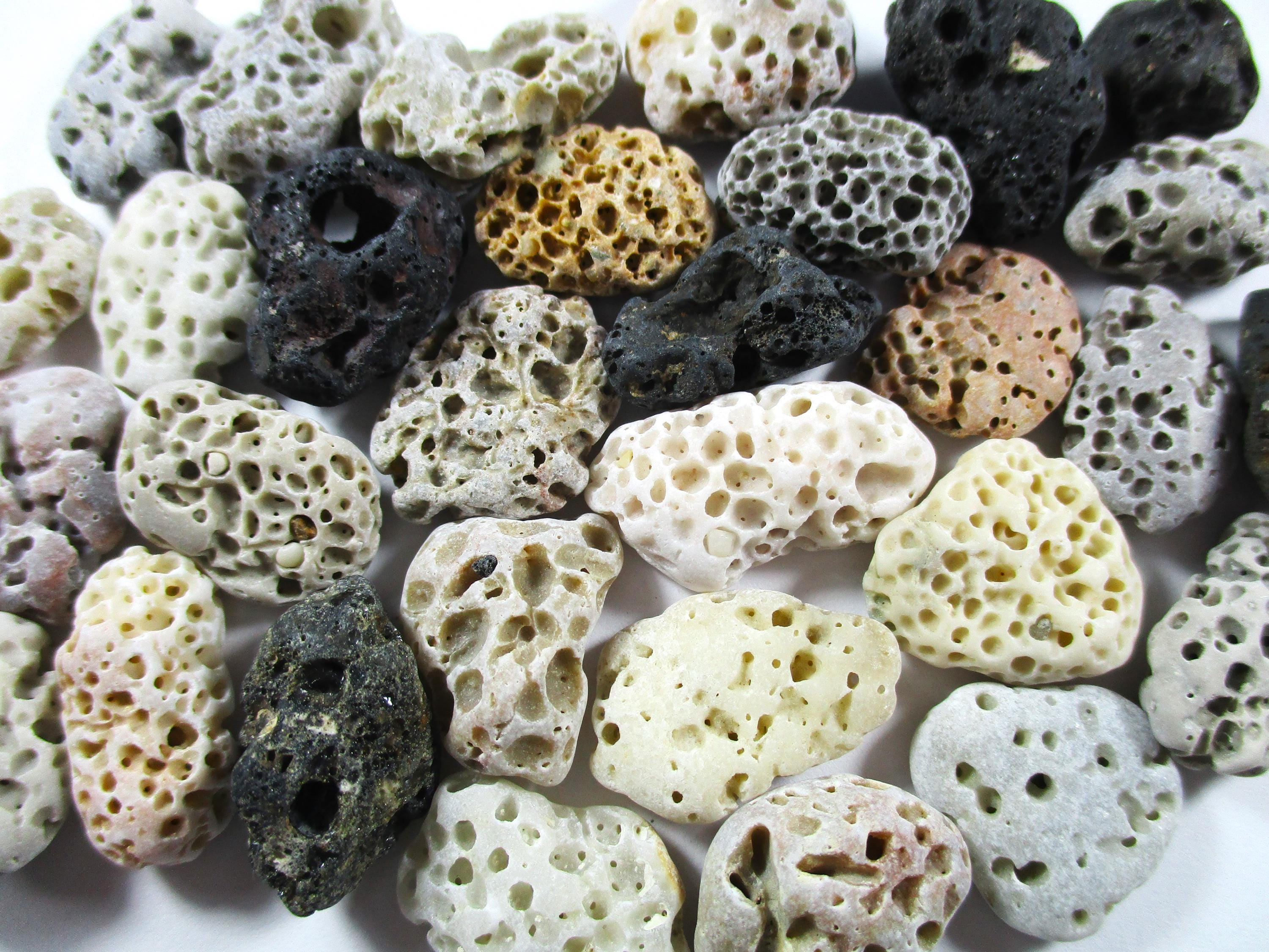 Small Beie Rocks GENUINE BEACH STONES 30 Small Brown White Grey Cream Black Beige Holes ...
