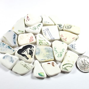 Può includere: Una collezione di frammenti di ceramica bianca con vari motivi e disegni colorati, inclusi motivi floreali e linee geometriche. Una moneta statunitense da dieci centesimi è posizionata accanto per fornire un riferimento di scala.