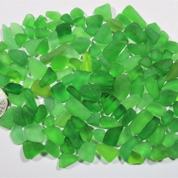 GENUINE SEA GLASS 140 Flawless Gems Small Tiny Bright Kelly Green Real Surf Tumbled Beach Seaglass Jewelry Quality Undrilled Beads  U 1596