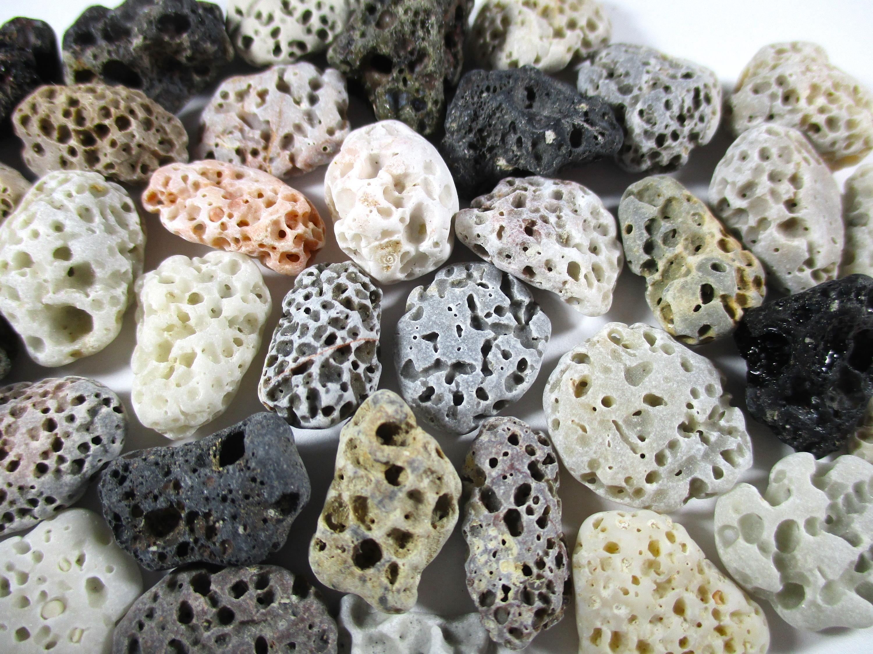 Small Beie Rocks GENUINE BEACH STONES 35 Small Brown White Grey Cream Black Beige Holes ...