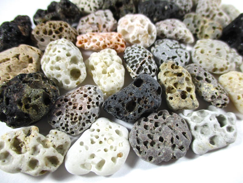 Small Beie Rocks GENUINE BEACH STONES 35 Small Brown White Grey Cream Black Beige Holes ...