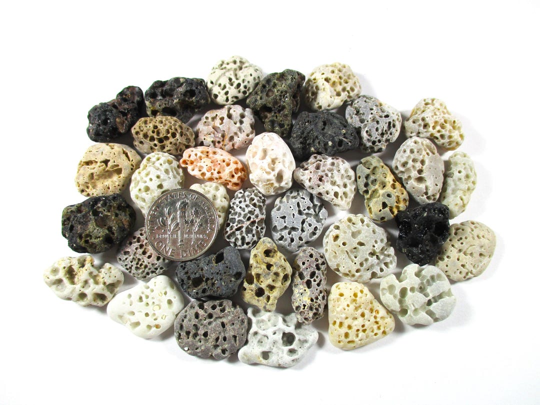 GENUINE BEACH STONES 35 Small Brown White Grey Cream Black Beige Holes ...