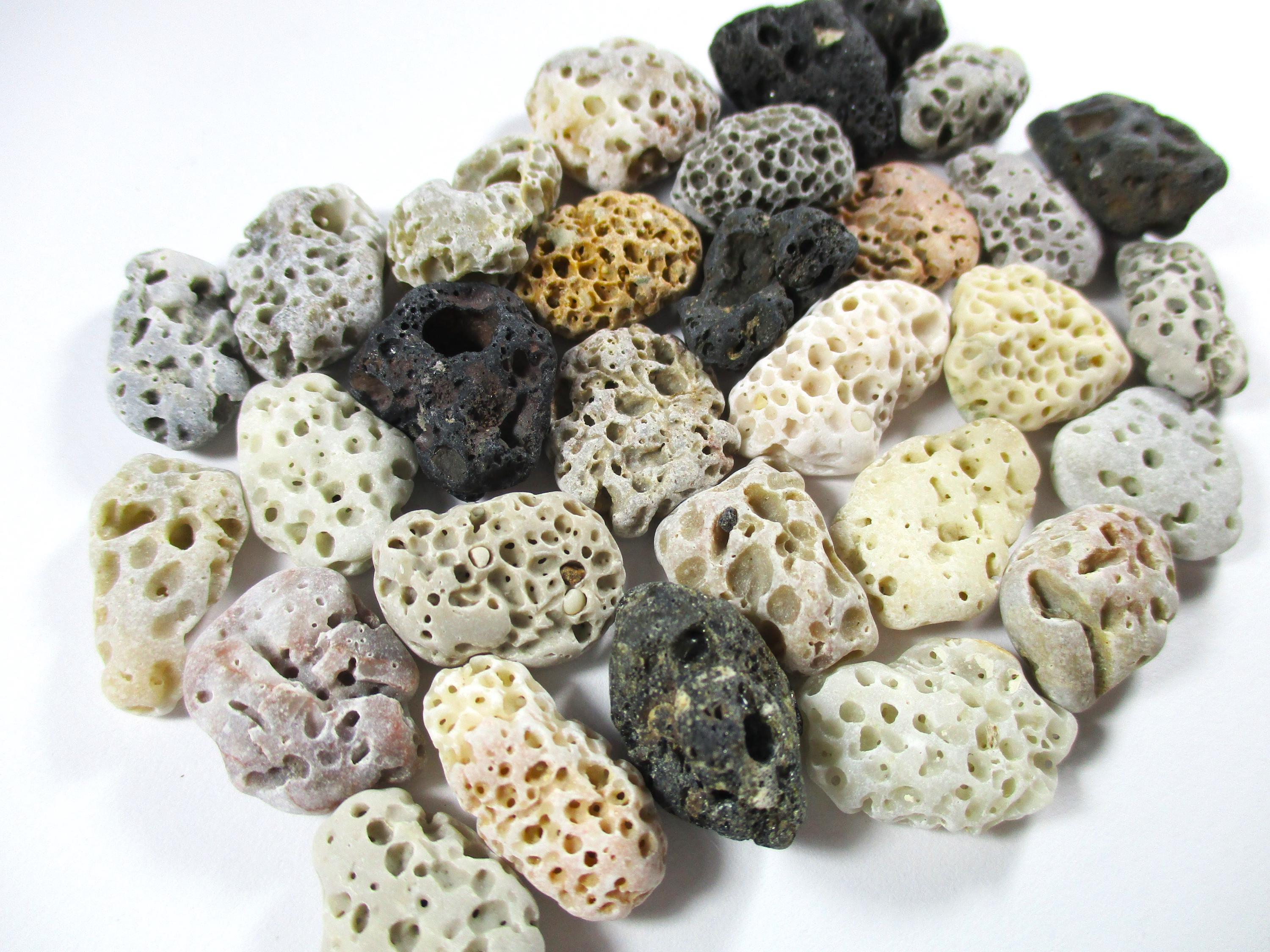 GENUINE BEACH STONES 30 Small Brown White Grey Cream Black Beige Holes ...