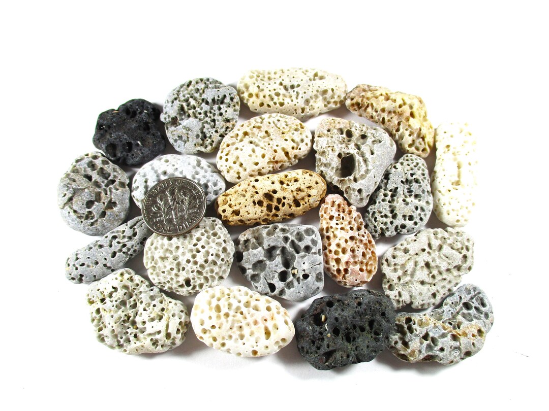 GENUINE BEACH STONES 20 Brown White Grey Beige Black Holes Pits Fossils ...