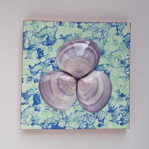 Muscheln, Meer, maritim, blau, türkis, Strand
